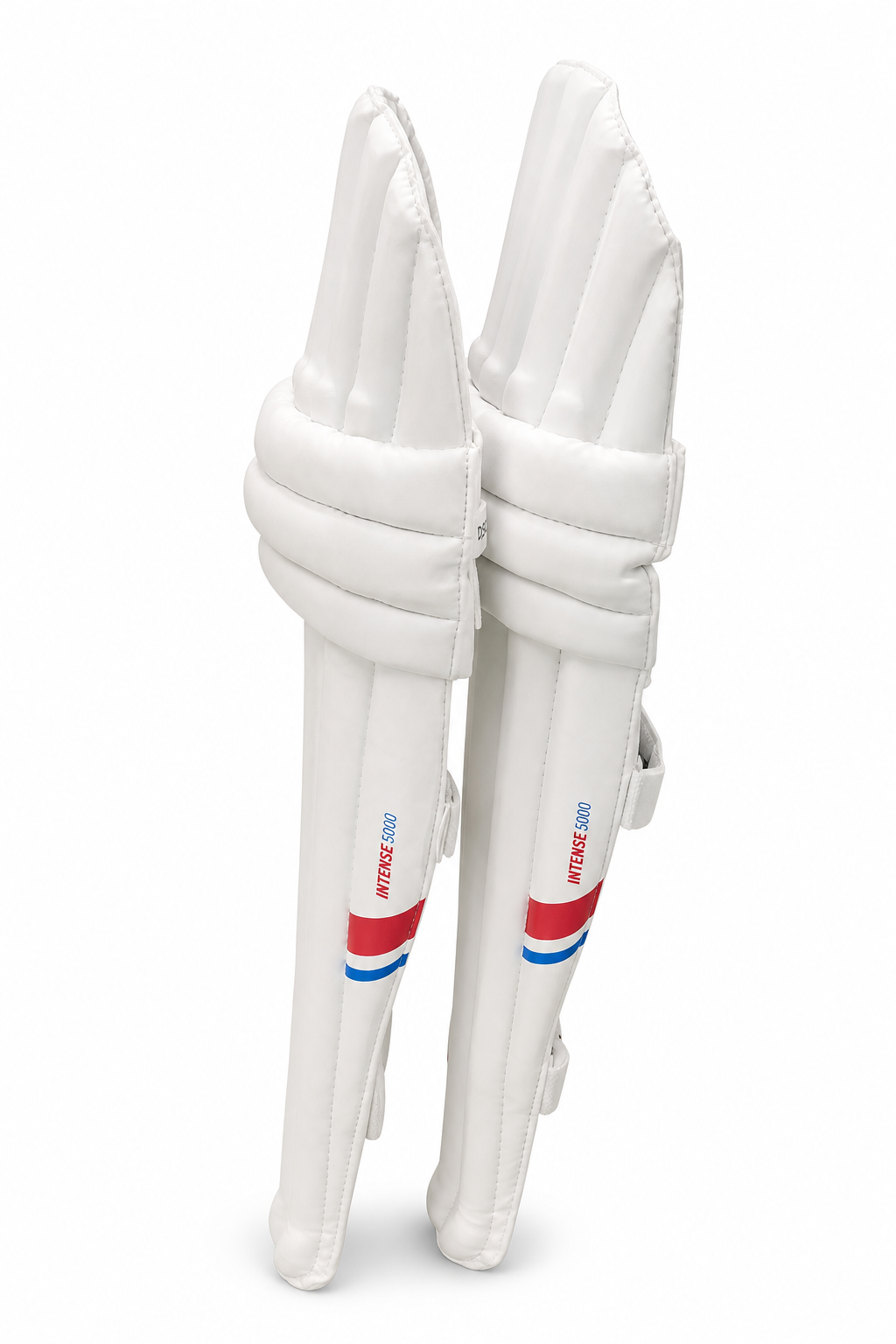 DSC Intense 5000 Batting Pads