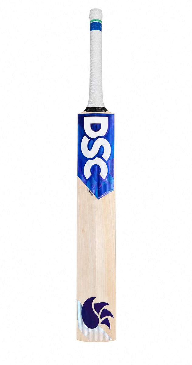 DSC BLU PRO BAT (26/27)