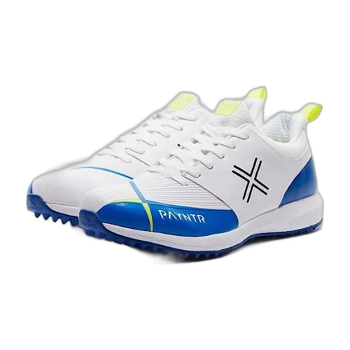 PAYNTR V RUBBER BLUE